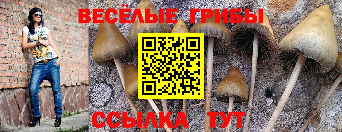 Фролово  Галлюциногенные грибы ЛСД  Галлюциногенные грибы MAGIC MUSHROOMS  Вход с VPN 