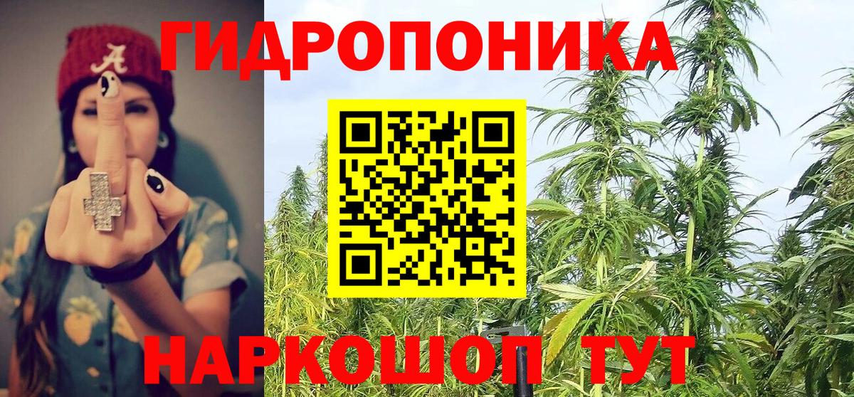 Бошки марихуана гибрид Фролово